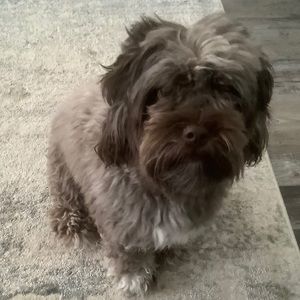 Meet your Posher, Jill